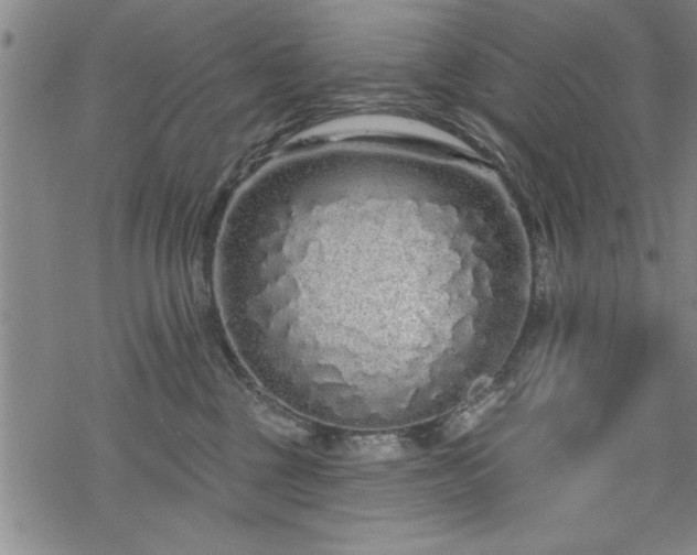 X0000069790377200605221120