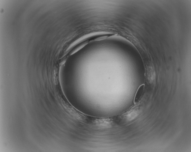 X0000069790378200605221120