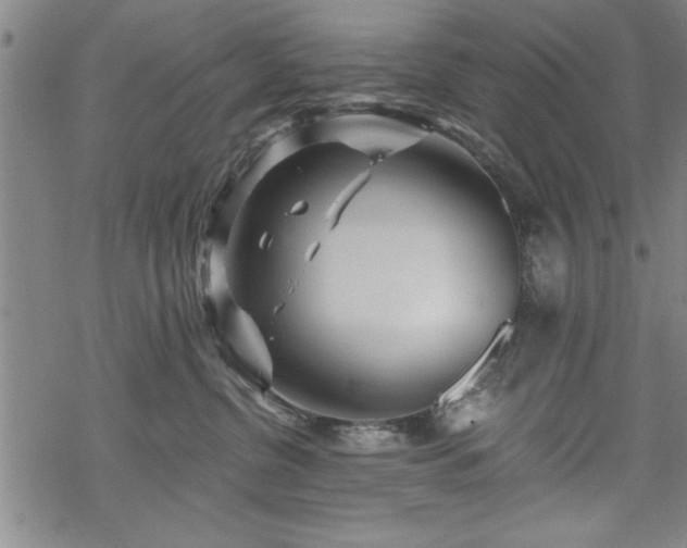 X0000069790380200605221120