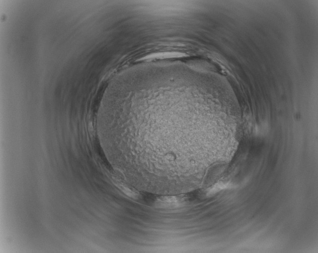 X0000069790381200605221121