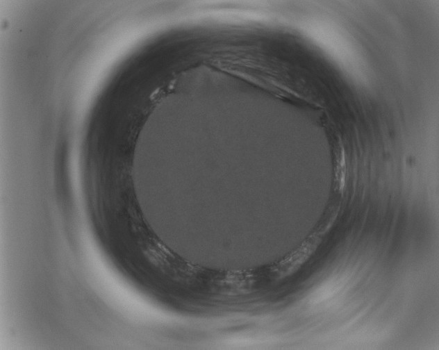 X0000069790383200605221121