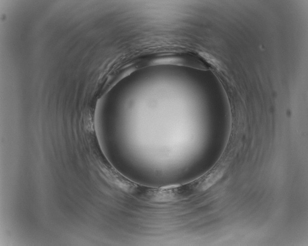 X0000069790384200605221121