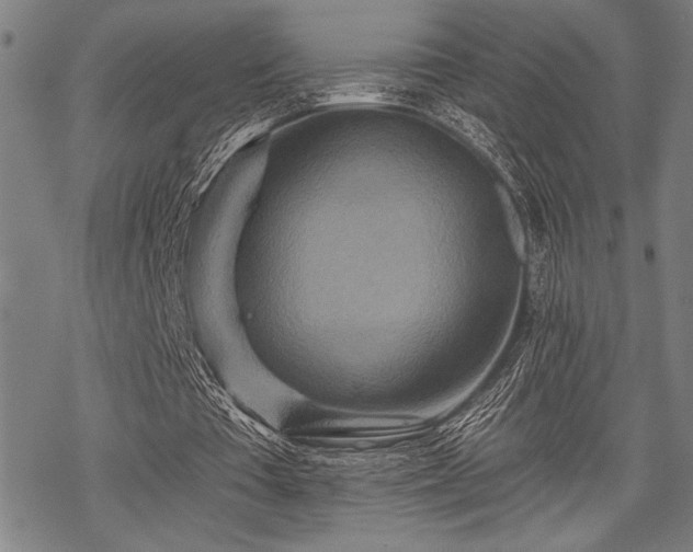 X0000069790385200605221120