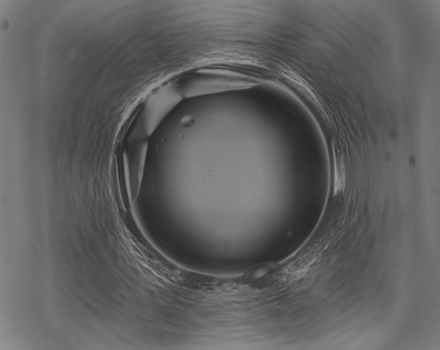 X0000069790387200605221120