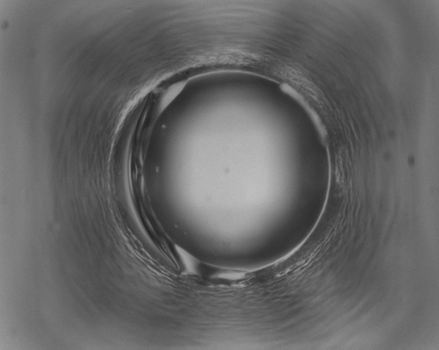 X0000069790388200605221120