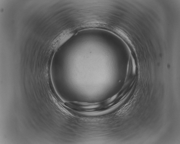 X0000069790389200605221120