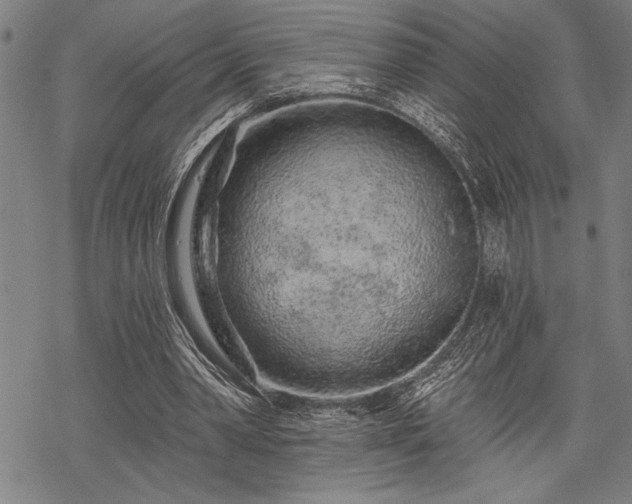 X0000069790390200605221120