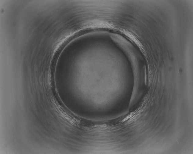 X0000069790391200605221120