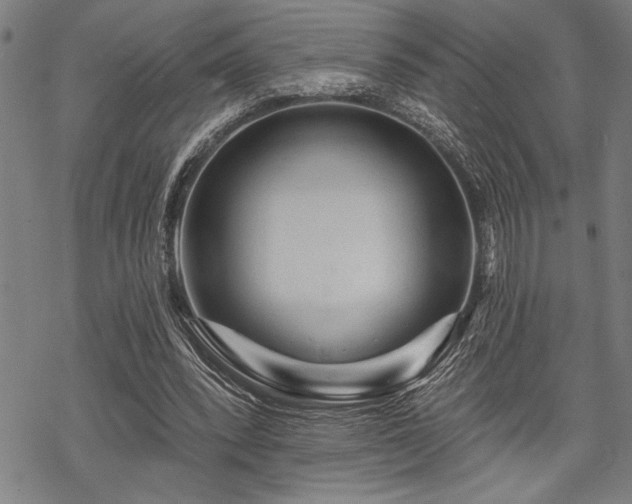 X0000069790392200605221120