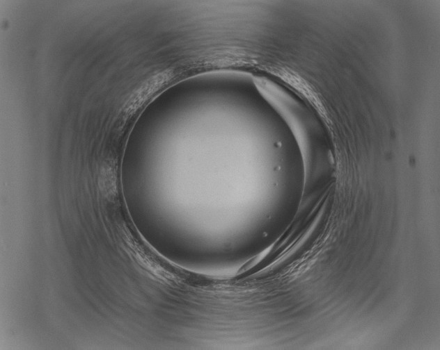 X0000069790393200605221120