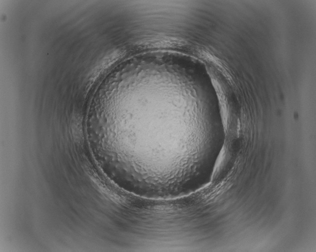 X0000069790394200605221120