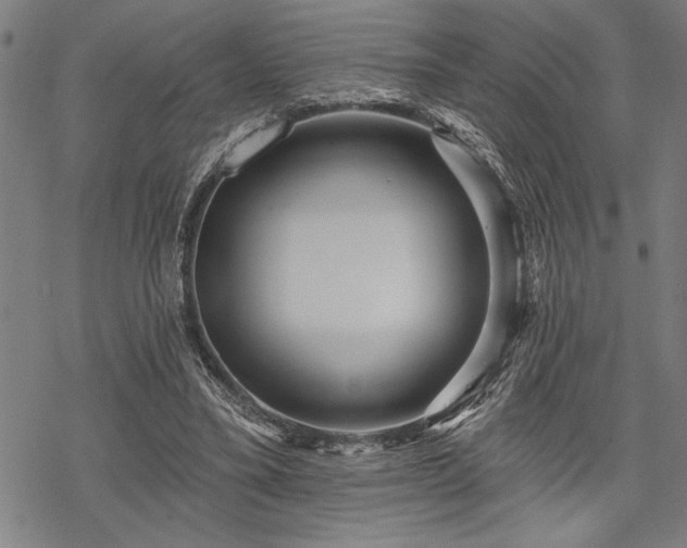 X0000069790395200605221120