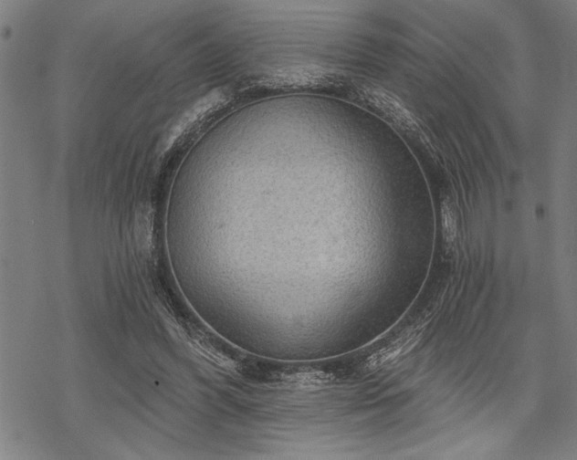 X0000069790396200605221120