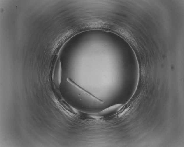 X0000069790397200605221120