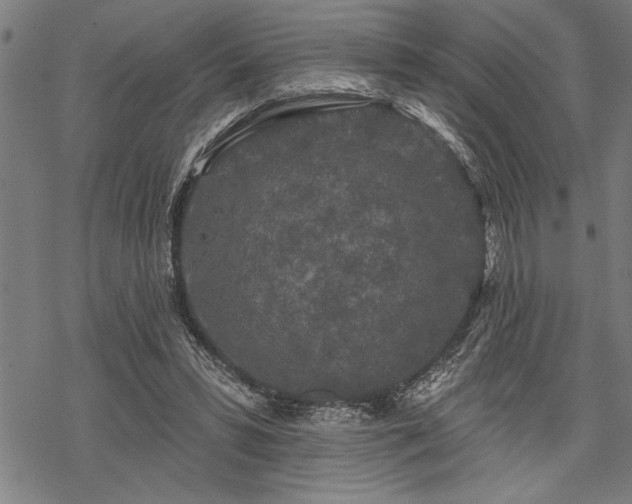 X0000069790399200605221120