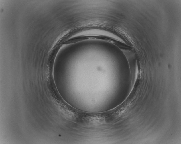 X0000069790400200605221120