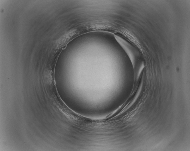 X0000069790401200605221120