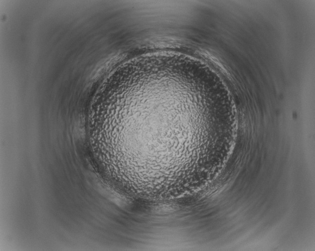 X0000069790402200605221119