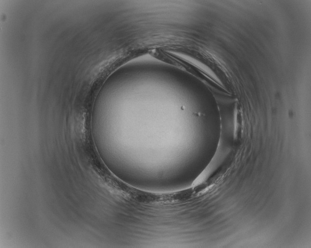 X0000069790404200605221119