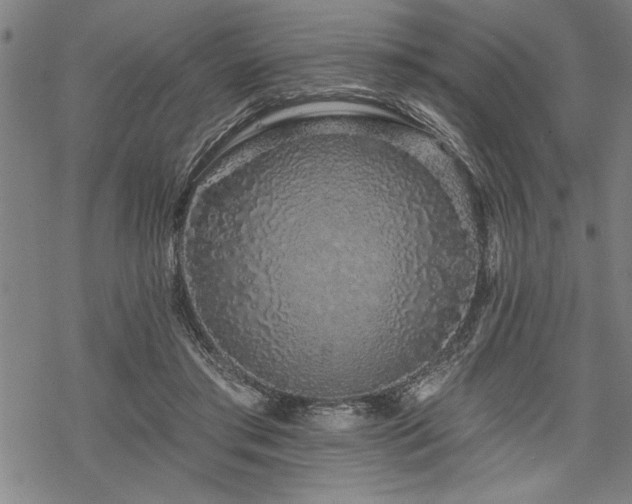 X0000069790405200605221119