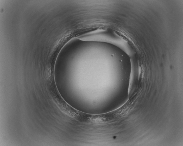 X0000069790407200605221119