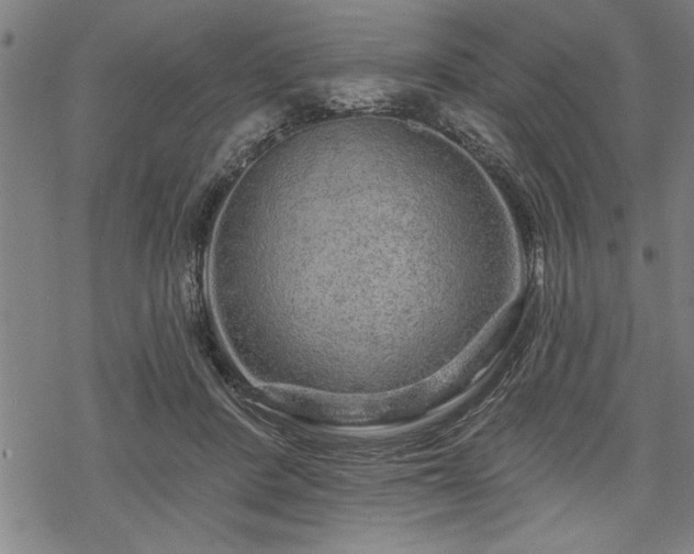 X0000069790408200605221119