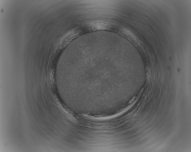 X0000069790410200605221119