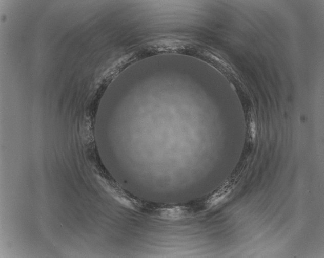 X0000069790411200605221119