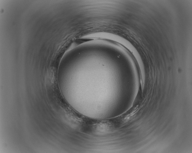 X0000069790412200605221119