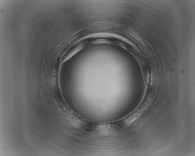 X0000069790413200605221119