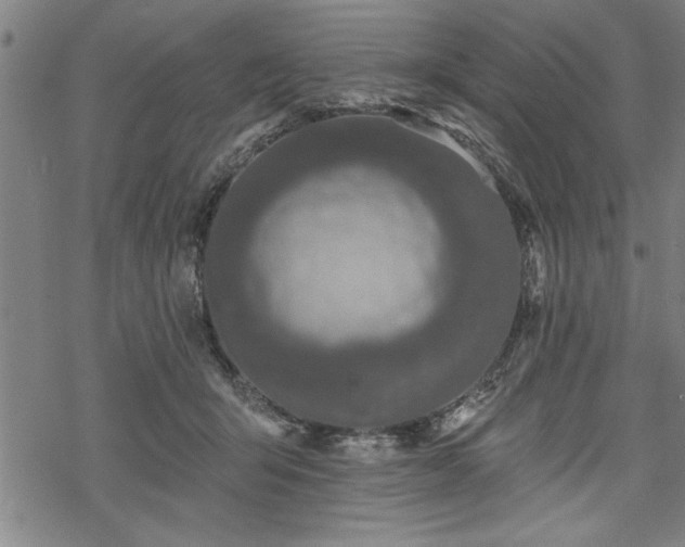 X0000069790415200605221119