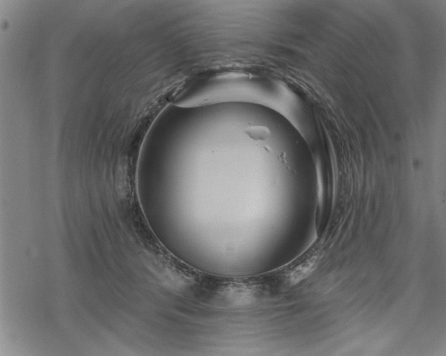 X0000069790416200605221119