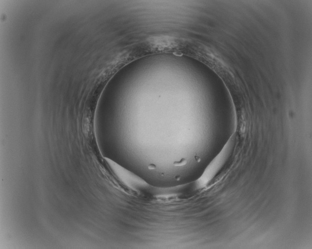 X0000069790417200605221119