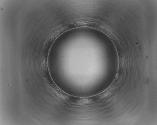 X0000069790418200605221119