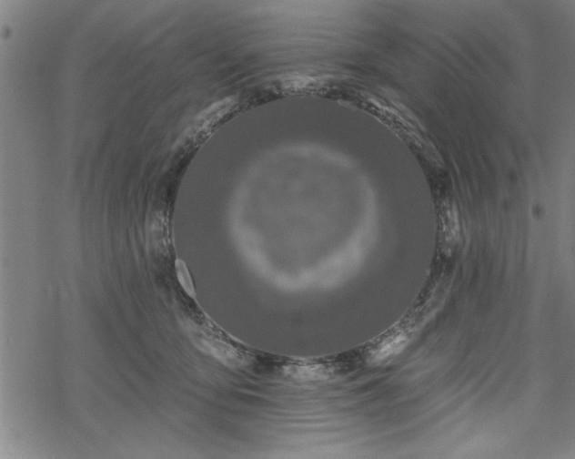 X0000069790419200605221119