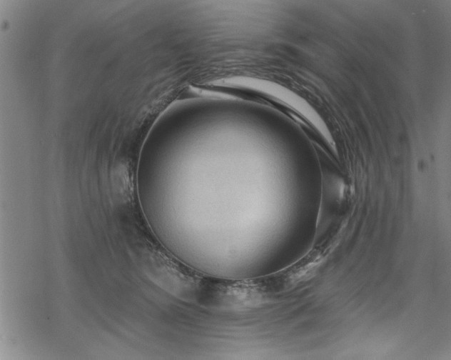 X0000069790420200605221119