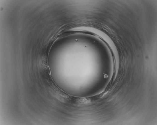 X0000069790421200605221119