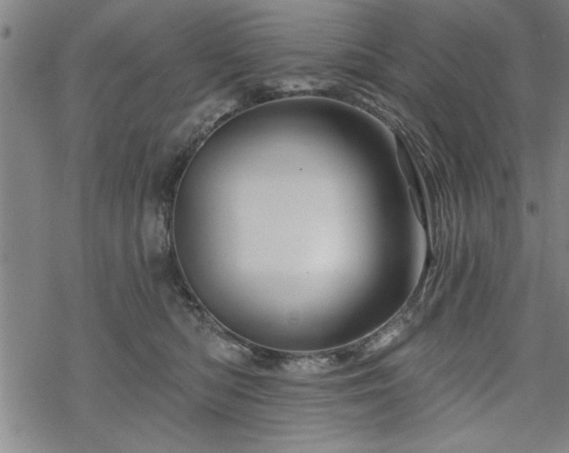 X0000069790422200605221119