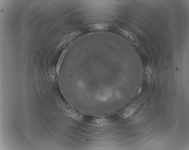 X0000069790423200605221119