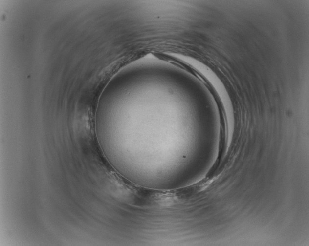 X0000069790424200605221119