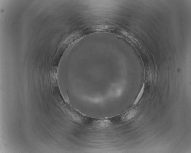 X0000069790427200605221119