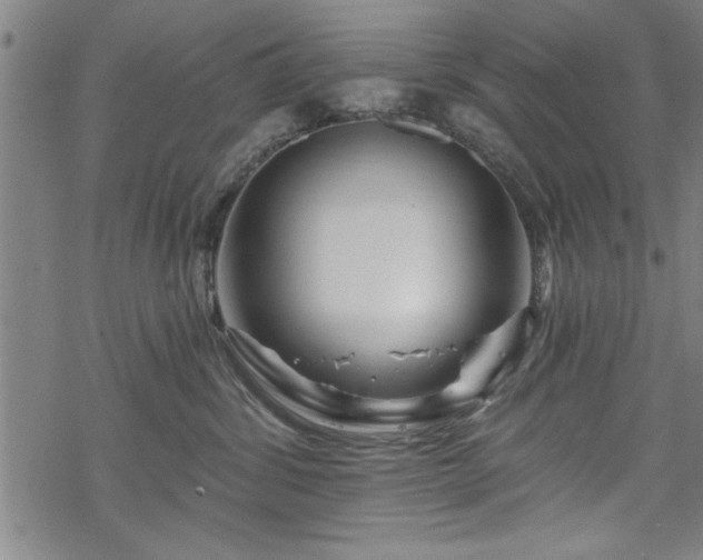 X0000069790428200605221119