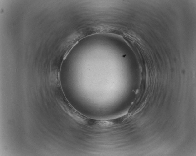 X0000069790429200605221119