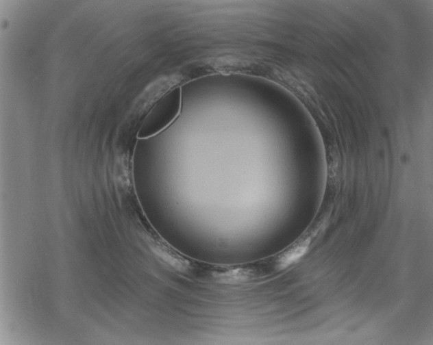 X0000069790430200605221119