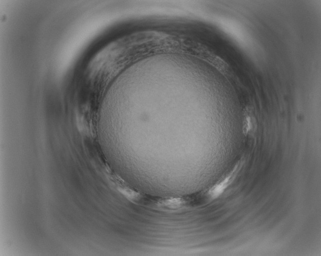 X0000069790431200605221119