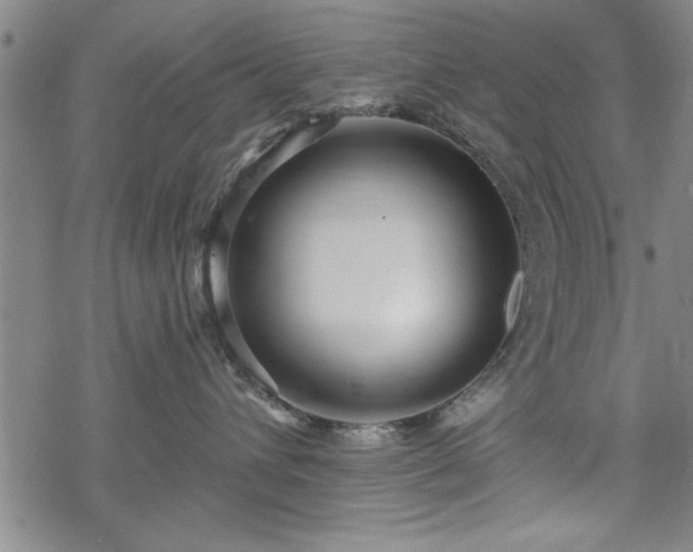 X0000069790432200605221119