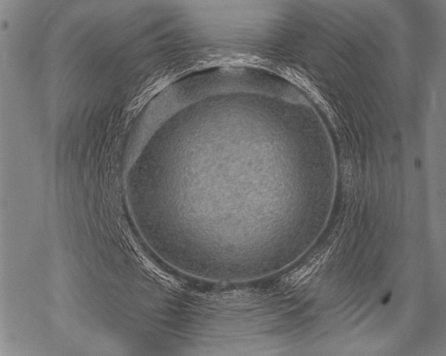 X0000069790433200605221118