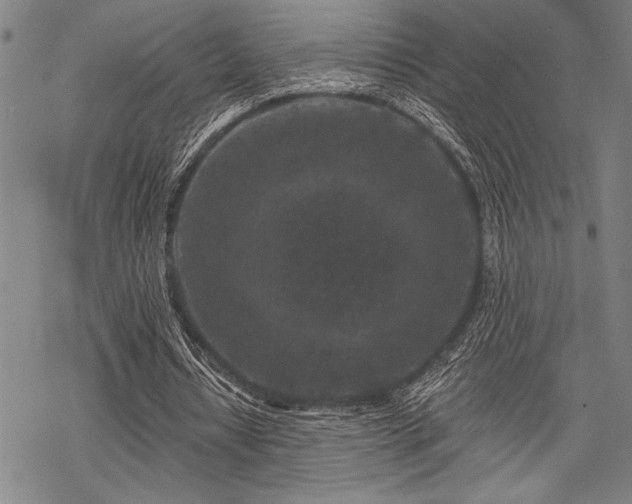 X0000069790434200605221118