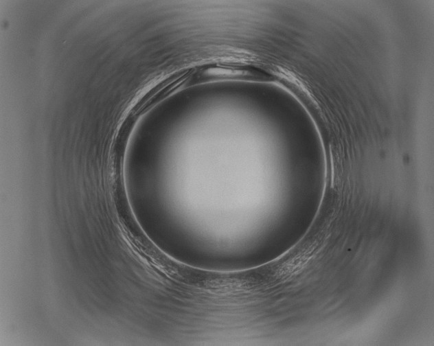 X0000069790435200605221118