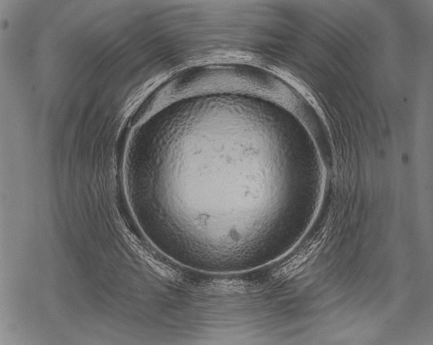 X0000069790437200605221118